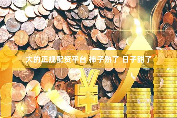 大的正规配资平台 柿子熟了 日子甜了