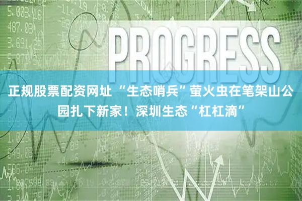 正规股票配资网址 “生态哨兵”萤火虫在笔架山公园扎下新家！深圳生态“杠杠滴”